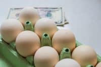 White eggs in green paper container with blurred money on a white background. Egg price increase concept.