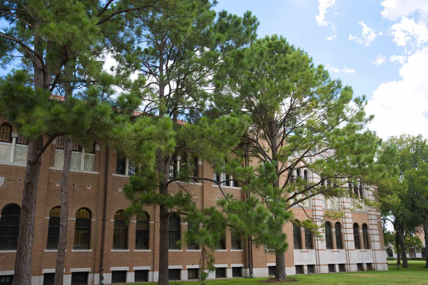 Rice University Herzstein Hall Campus