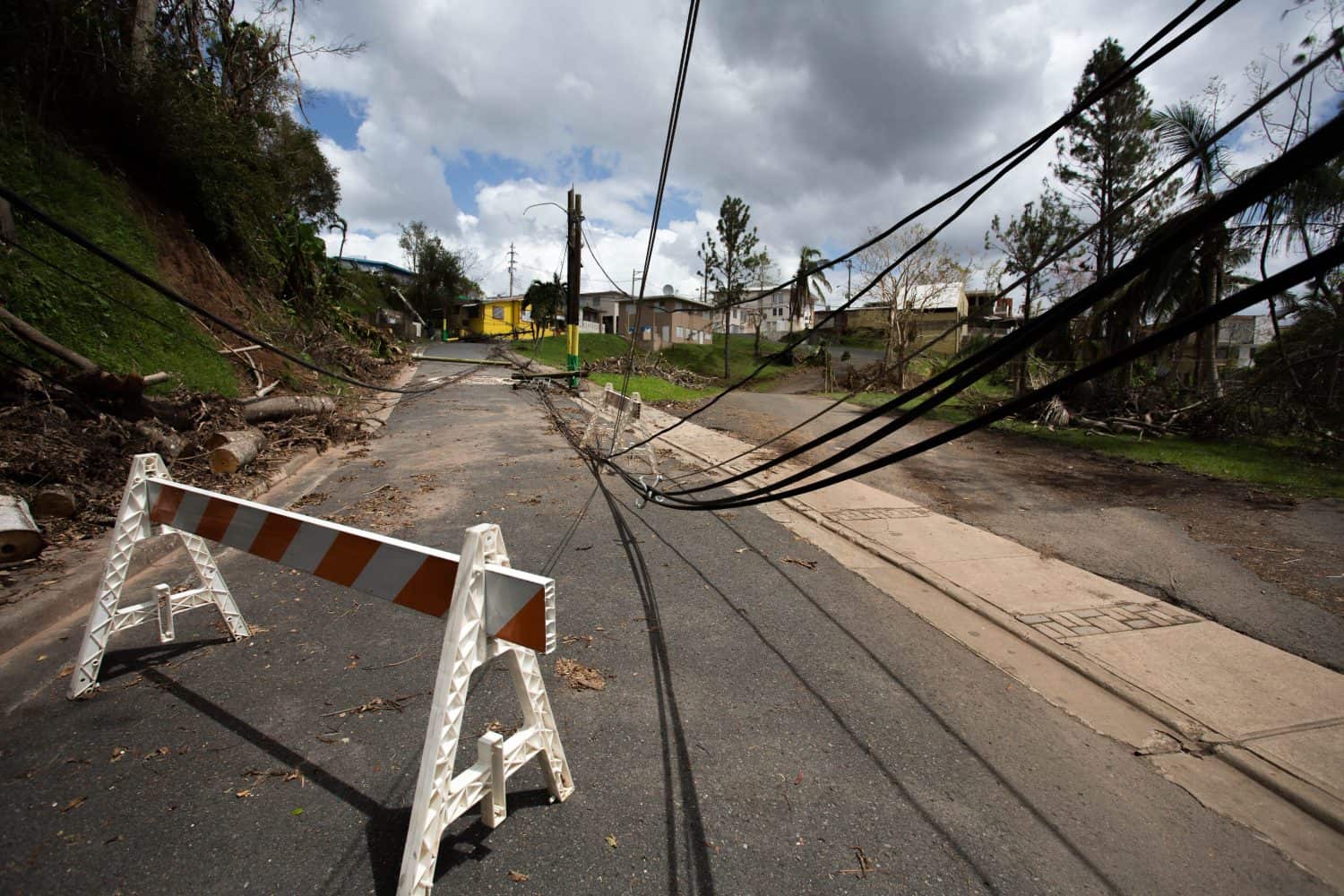 Electrical lines in Puerto Rico after Hurricane Maria