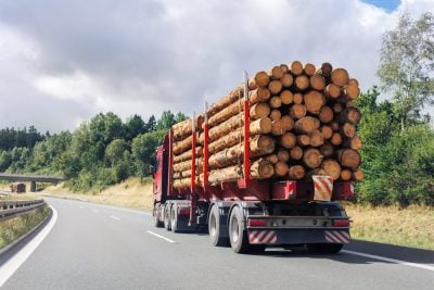 He Sold $80,000 of Timber Off His Land. Social Security Wanted to Know: Investor, or Still a Logger?
