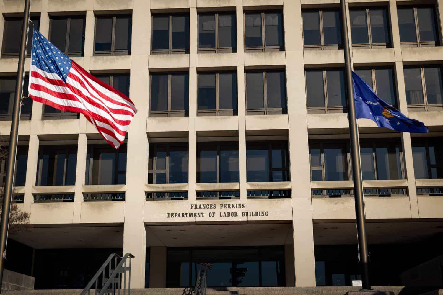 How many federal employees have Trump and Musk Fired, and How will it impact Government Services?