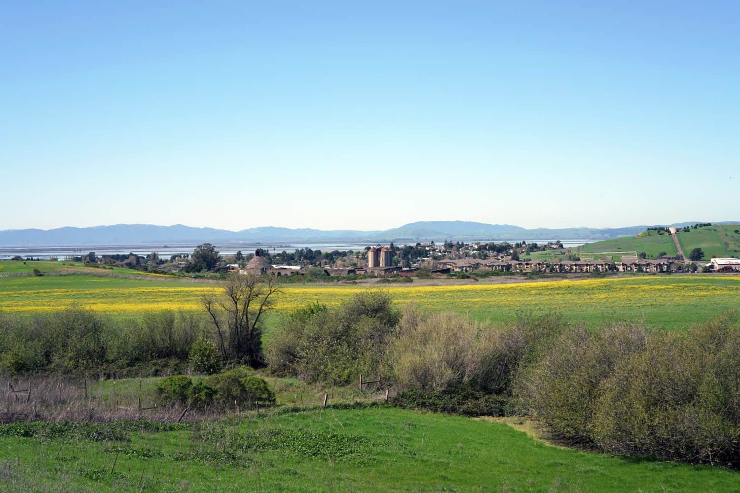 View of American Canyon, CA from Newell Open Space Preserve