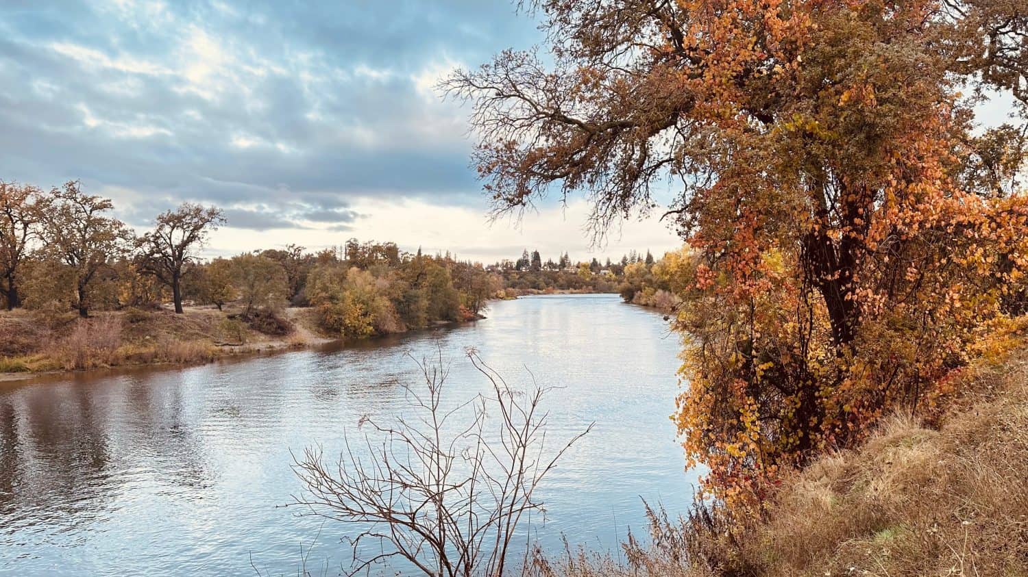 Fall view of American River, Hagan Park, Rancho Cordova, California, USA. 2024