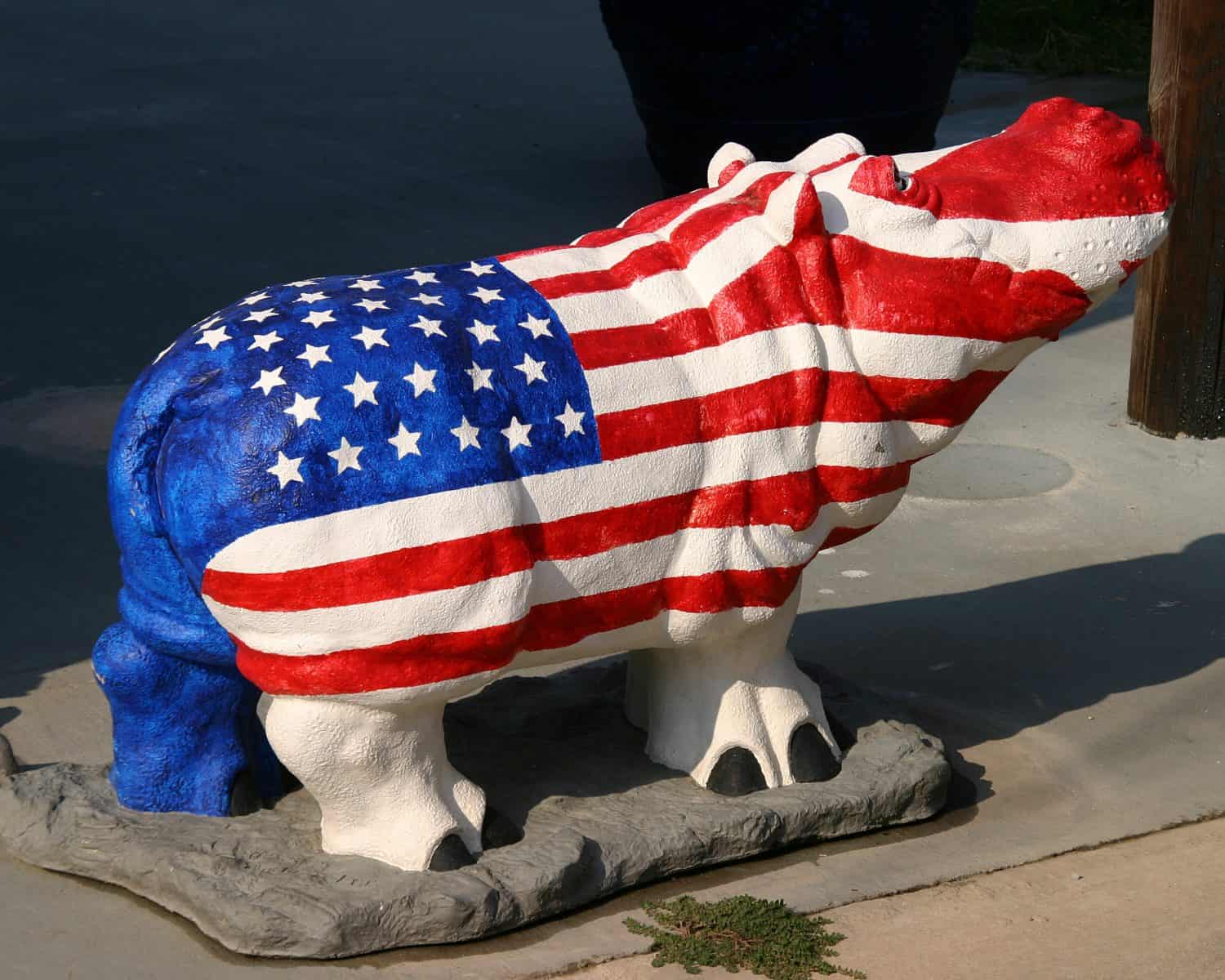 Proud Hippo