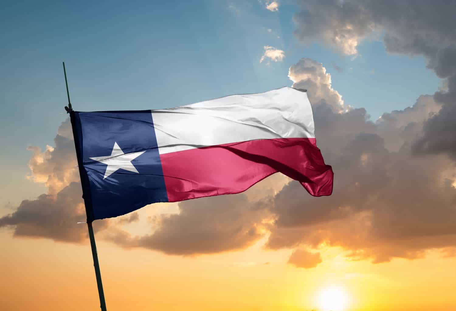 Texas flag U.S. state flag consisting of a vertical blue stripe at the hoist bearing a large white star; the fly end is horizontally divided white over red.