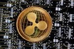 Believe It Or not, There is An XRP ETF That Pays 3% Monthly Income