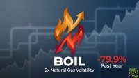 A financial graphic with a central logo featuring an orange upward-pointing flame-arrow and a red downward-pointing flame-arrow. Below the logo, large white text reads 'BOIL', and smaller white text states '2x Natural Gas Volatility'. To the right, large red text displays '-79.9%', with 'Past Year' in white text below it. The background is a blurred dark blue, showing faint outlines of pipes and a stock market chart, along with a '24/7 WALL ST' logo in the bottom right corner.