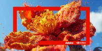 Adobe Creative AI Agents