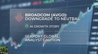 A dark blue and black blurred background shows a stock market chart with green and red lines and numerical scales. Overlaid is a semi-transparent rectangular box containing white text. A prominent red downward arrow icon is next to "BROADCOM (AVGO): DOWNGRADE TO NEUTRAL". Below it, a green upward arrow icon is next to "AI GROWTH STORY". A thin horizontal line separates these from the text "WALL STREET INSIDERS FRAME". The bottom section reads "SEAPORT GLOBAL: ANALYST CAUTION". The "24/7 WALL ST" logo is visible in the bottom left corner of the image.