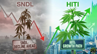 An image split into two contrasting scenes. The left scene, representing SNDL, is dark and grey, showing a withered cannabis plant against a smoky cityscape, with a red downward-trending stock chart and arrow. A cracked white sign reads 'SNDL: DECLINE AHEAD'. The right scene, representing HITI, is bright and vibrant, showing a healthy green cannabis plant against a clear blue cityscape, with a green upward-trending stock chart and arrow. A glowing green sign reads 'HITI: GROWTH PATH'. The '24/7 WALL ST' logo is in the bottom right corner.