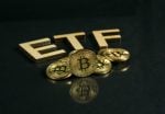 Which Bitcoin ETFs Help You Ride the Crypto Bull Cycle?