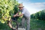 What Retirement Really Looks Like at 65 With $2.7 Million and a Vineyard That Costs $48,000 a Year to Run
