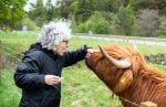 Mom Wants Her Farm Animals Cared for After She’s Gone. Her Son Doesn’t Want the Farm. What Happens Next?
