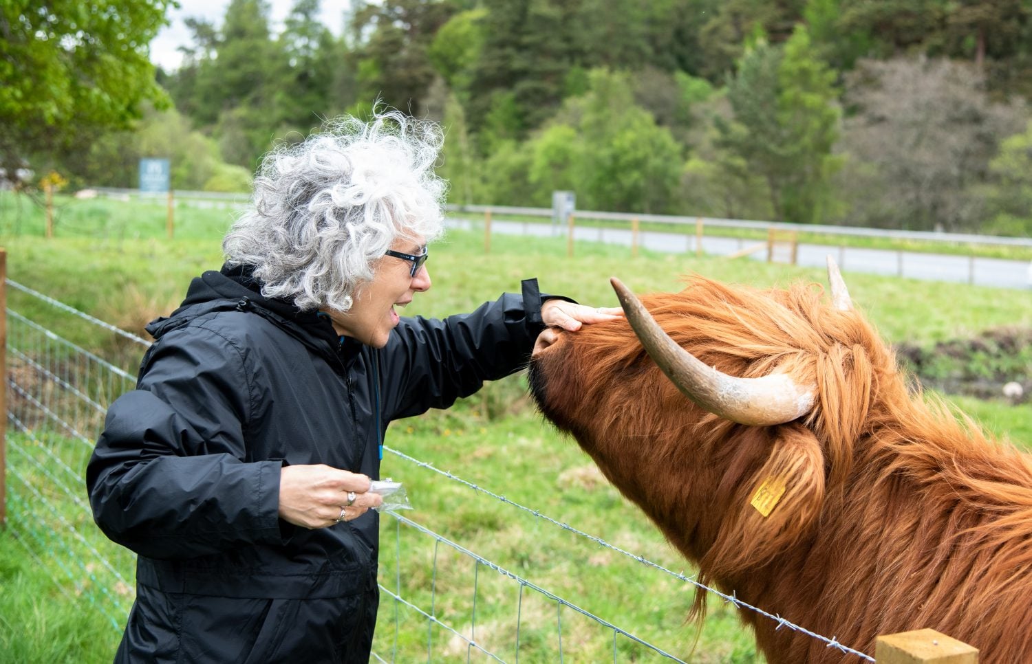 247wallst.com - Drew Wood - Mom Wants Her Farm Animals Cared for After She's Gone. Her Son Doesn't Want the Farm. What Happens Next?