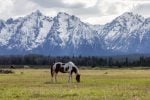 Zero State Income Tax and $900,000: Here’s How to Retire to Wyoming at 62
