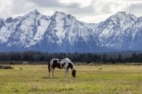 Zero State Income Tax and $900,000: Here’s How to Retire to Wyoming at 62