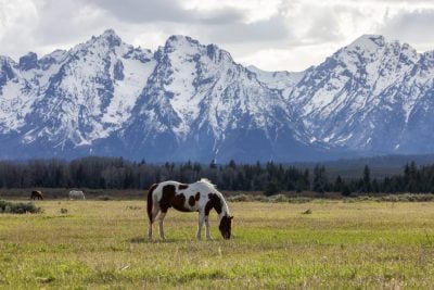 Zero State Income Tax and $900,000: Here's How to Retire to Wyoming at 62