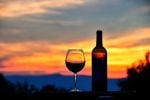 The Trumps Bought a Vineyard Near This Virginia Town. Can You Afford to Retire There?
