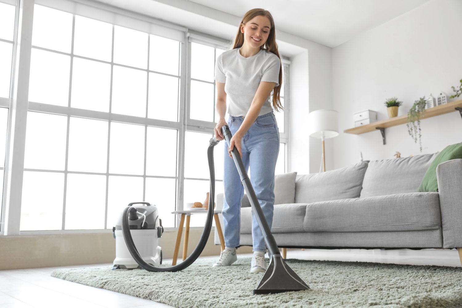 Let Your Dividends Do The Housework For You. Literally.