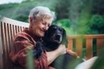Here’s Where Your Dog Wants To Retire. But Can You Afford It?