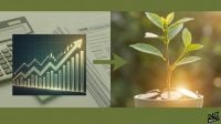 The Case for Holding VOO in Your Roth IRA