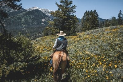 Everyone's Chasing Florida. Smart Retirees Are Quietly Buying Here Instead.
