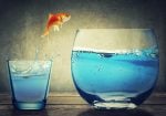 The Dividend Growth Approach That Builds Bigger Paychecks Every Single Year
