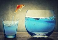 The Dividend Growth Approach That Builds Bigger Paychecks Every Single Year