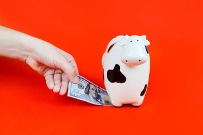 The S&P 500 Is Up 5% This Year. This ‘Cash Cow’ Fund Is Up 9%