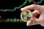 XRP Just Flashed Its First Buy Signal Since Mid-June. Will the XRP Price Rally?