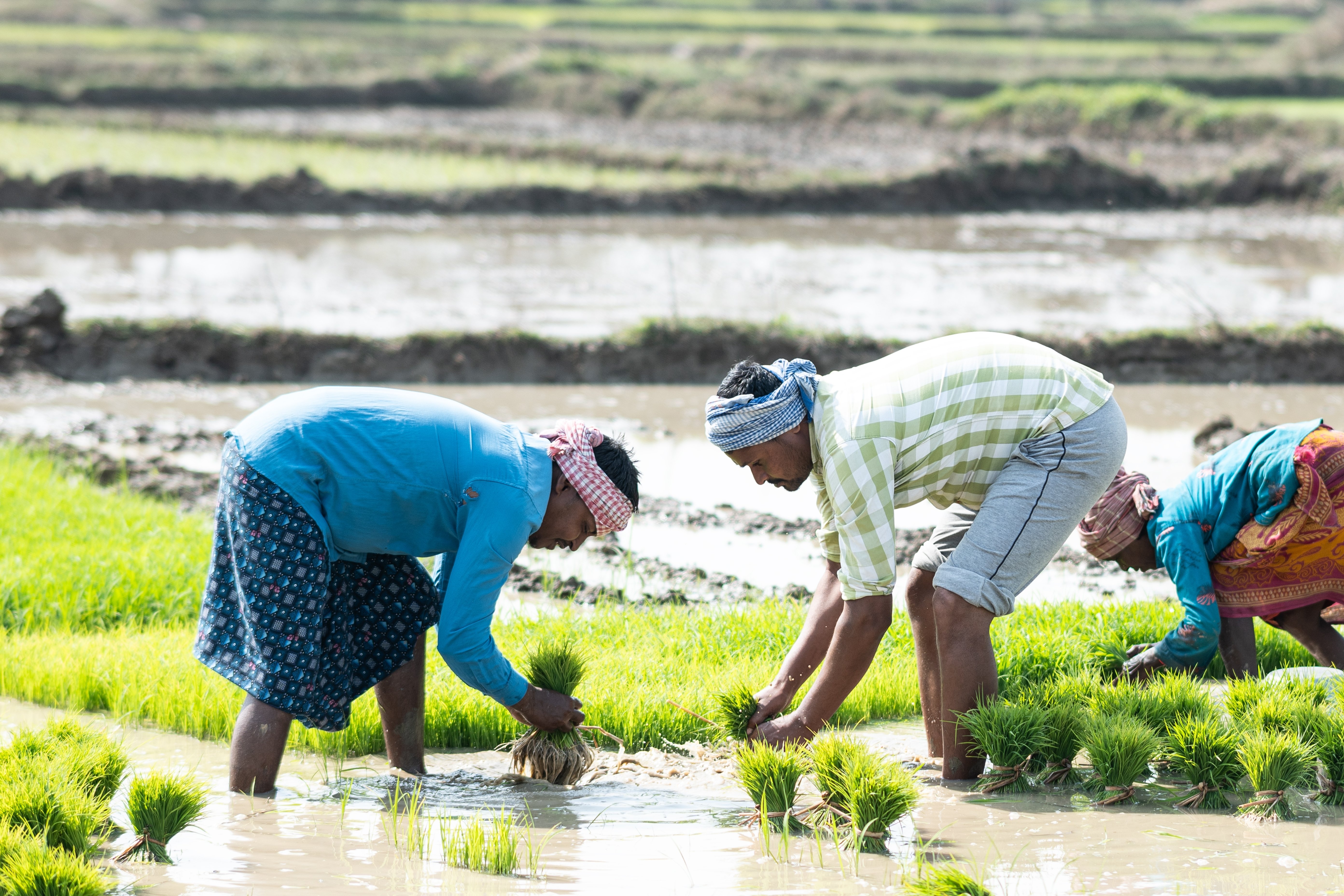 India’s Economy Gets A Lift From Falling Oil Prices, But Weak Monsoons Are Now The Key Risk