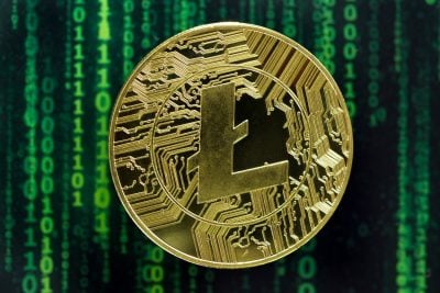 Cryptocurrency concept. A close up shot of Litecoin cryptocurrency coin in front of a green matrix screen. selective focus in the center.