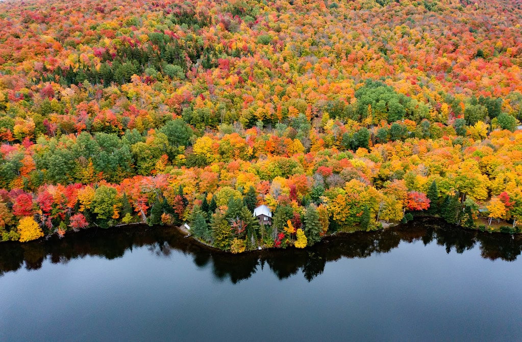 Fall Foliage Along Norton Pond Northeast Kingdom Vermont 2021 Season