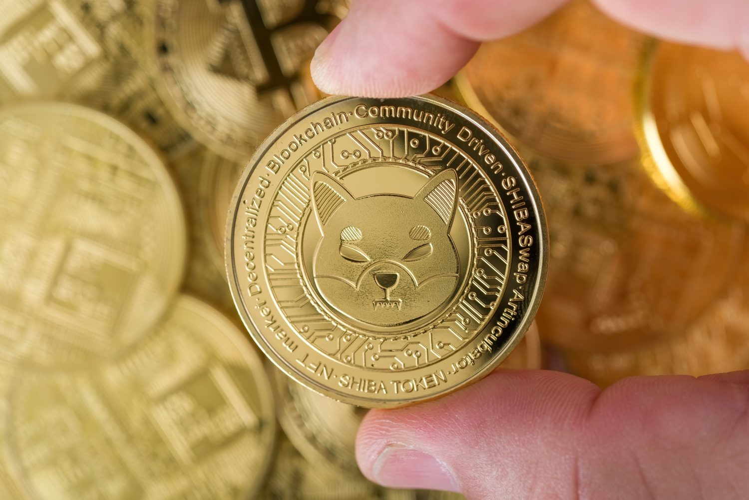 Cryptocurrency concept. two male fingers holding a shiny SHIBA INU cryptocurrency coin in top of piles of different cryptocurrency coins . selective focus.