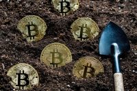 Planting a gold bitcoin coins into the earth, close up. Virtual cryptocurrency mining concept. Metal golden bitcoin cryptocurrency coins and shovel gardening tool in garden