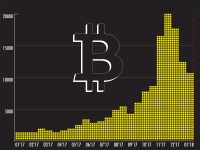 Bitcoin Vector Infographic Illustration