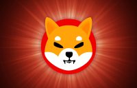 shiba virtual currency visuals on a colorful background. 3d illustrations.